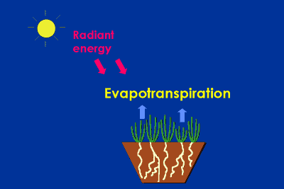 Evapotranspiration page 2
