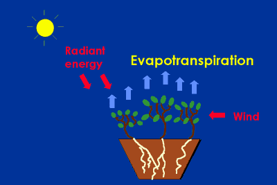 Landscape evapotranspiration page 5