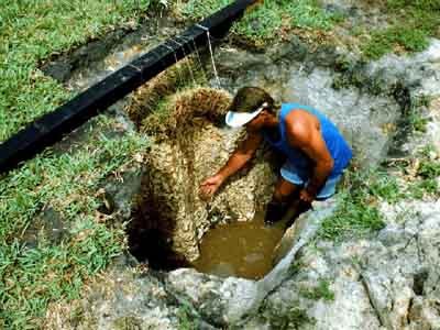 Landscape irrigation page 8